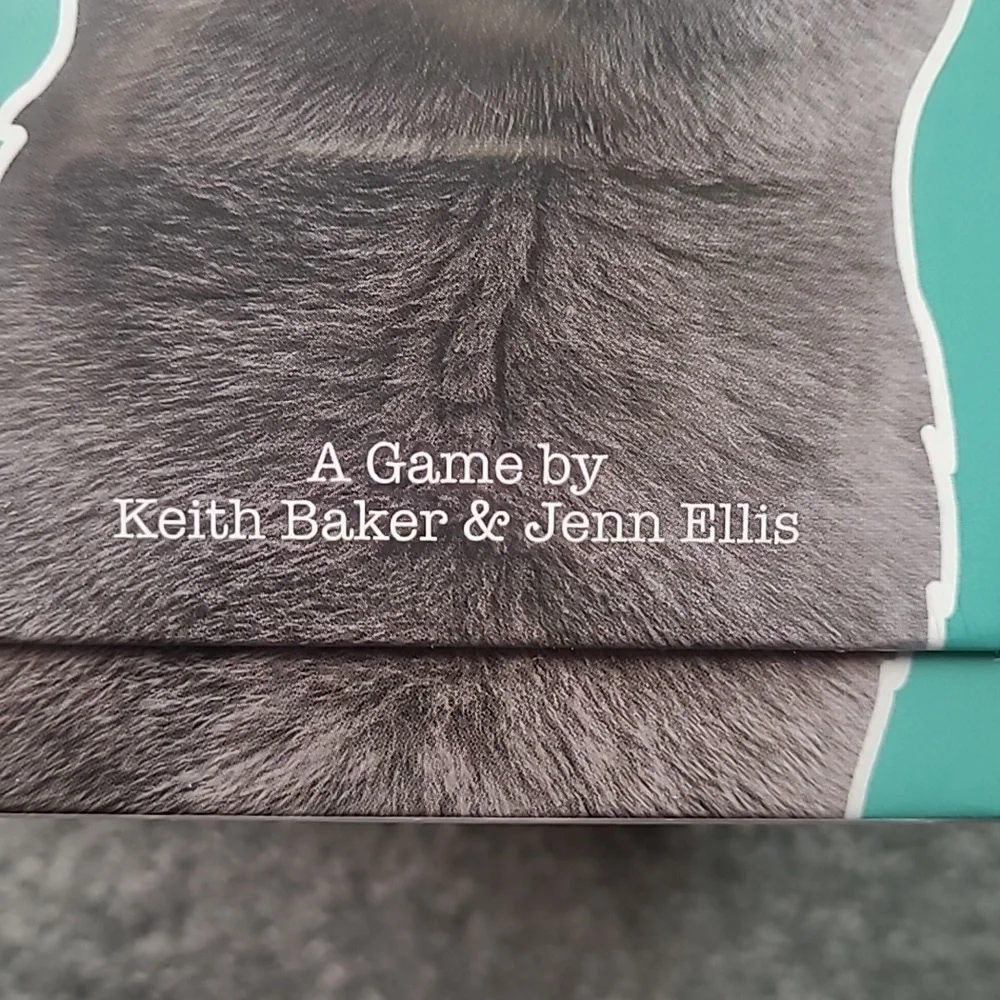 NWOT ACTION CATS PARTY GAME FOR HUMANS - Picture 4 of 5